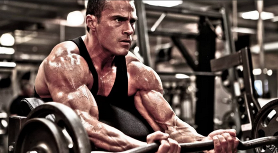 Dosage de la testostérone phénylpropionate Dosage de la testostérone phénylpropionate