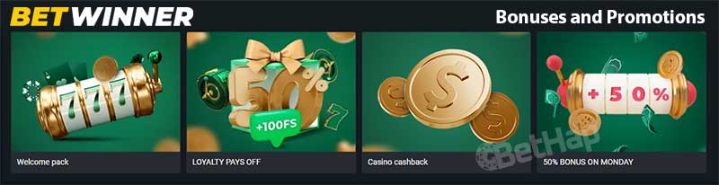 Discover the Best Betting Experience with BetWinner